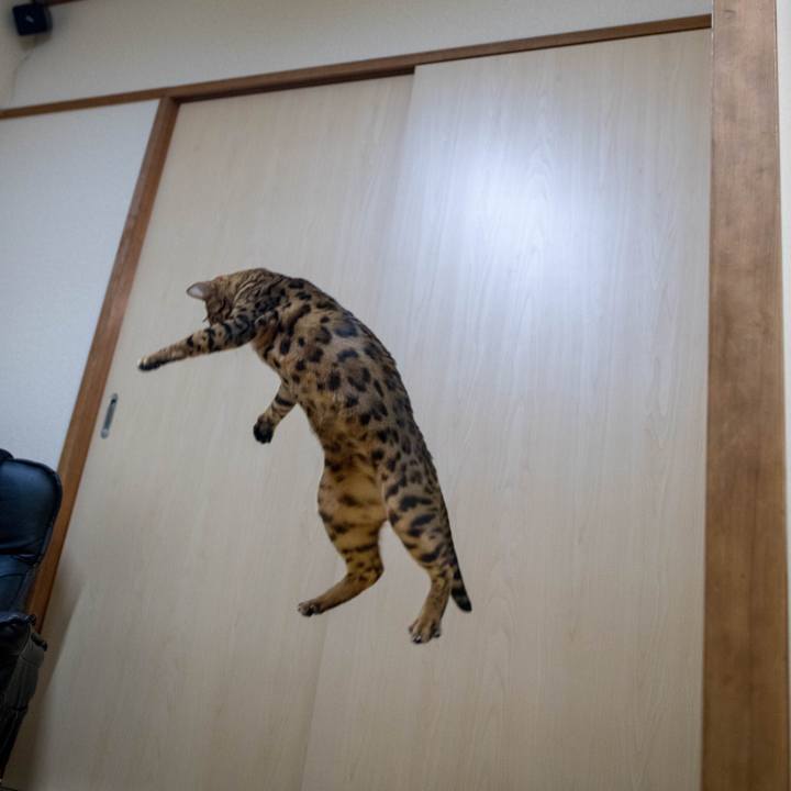 E736aa83 239a 410d 975b 1b5e12b58f2d 1517842800530