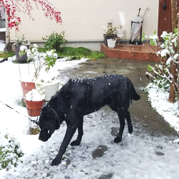 E736b4b3 0294 4cfa ba86 fe7b5bbca7f9 1691807091615