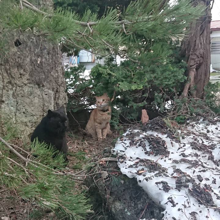 E736f11a 027d 4234 8366 93246056c8f4 1649237042276