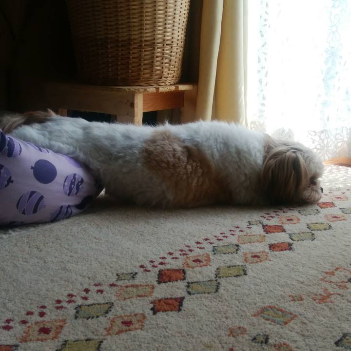 E7372a8e 5042 4c5b 935c 681f4ab12e3d 1566446427182