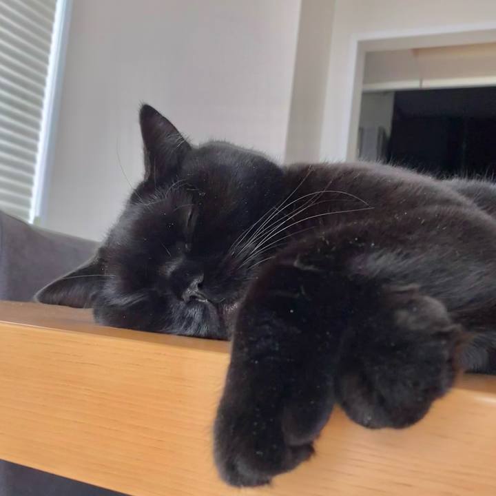 E7372e58 2750 457e bd0c 539a263f5359 1633395673208