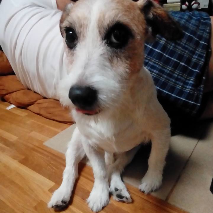 E737424a 5c35 4801 9df5 feacda890f67 1570195881735