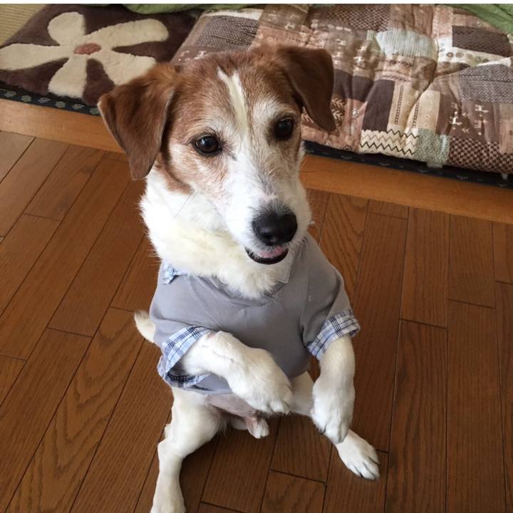 E73755bc 9a55 48ef a42c 1b27d6bb8a77 1529303372047