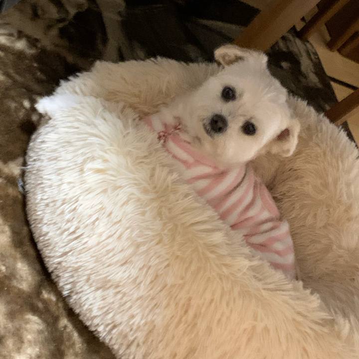 E7377c69 b1c4 4434 a325 8c008e150cbe 1642492477385