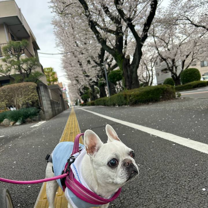 E737d3c0 298b 4e6f 871d 6f252356f481 1743940321617