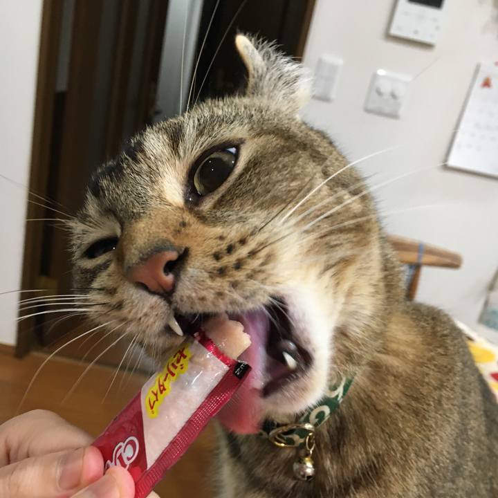 E737ecc5 0c20 402c bd5e 4dcacfcb035d 1585887261004