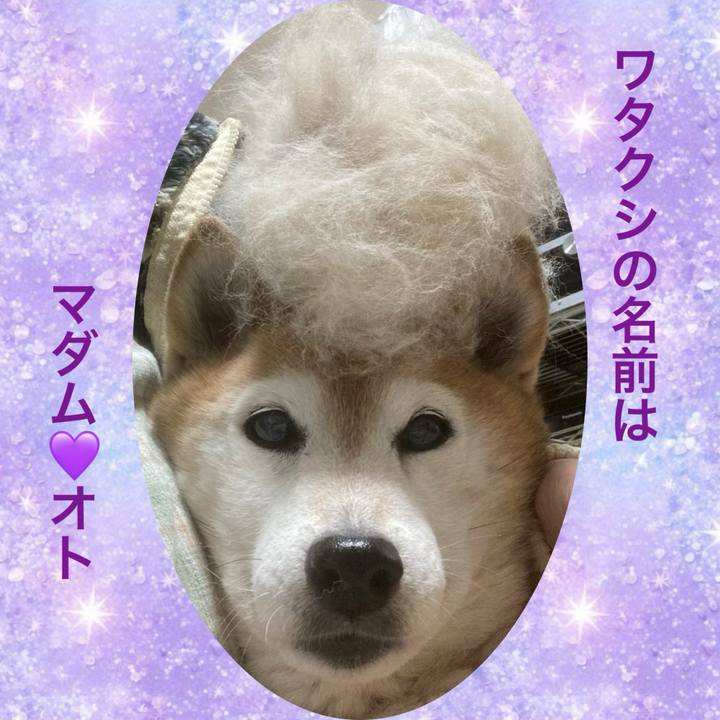 E737f9a2 47e0 4531 9365 825d7d569529 1774355198481