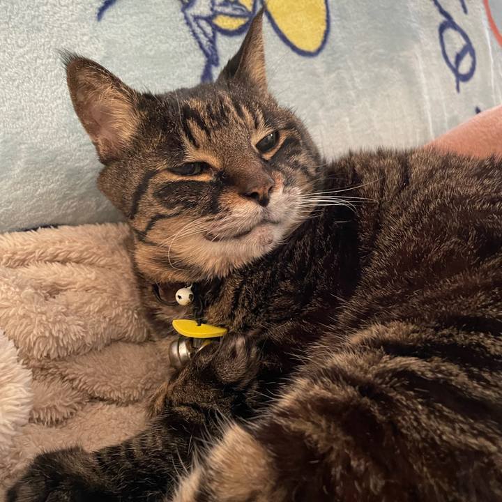 E738642d d900 4d22 af18 79f33eaa2479 1765114550923