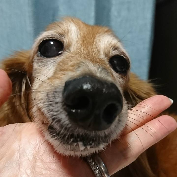 E7386509 8046 49b0 a40b 8b2837110ecf 1508752104779