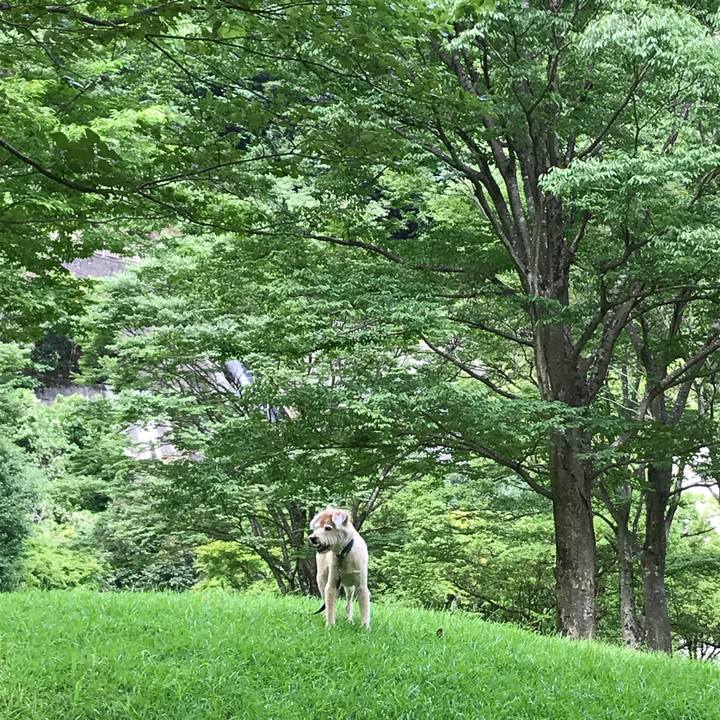 E738b956 2709 4087 9606 a19974cd35b1 1597447331190