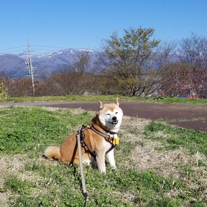 E738bc3f fc7f 4b28 b30c d61efe7325c3 1618987848072