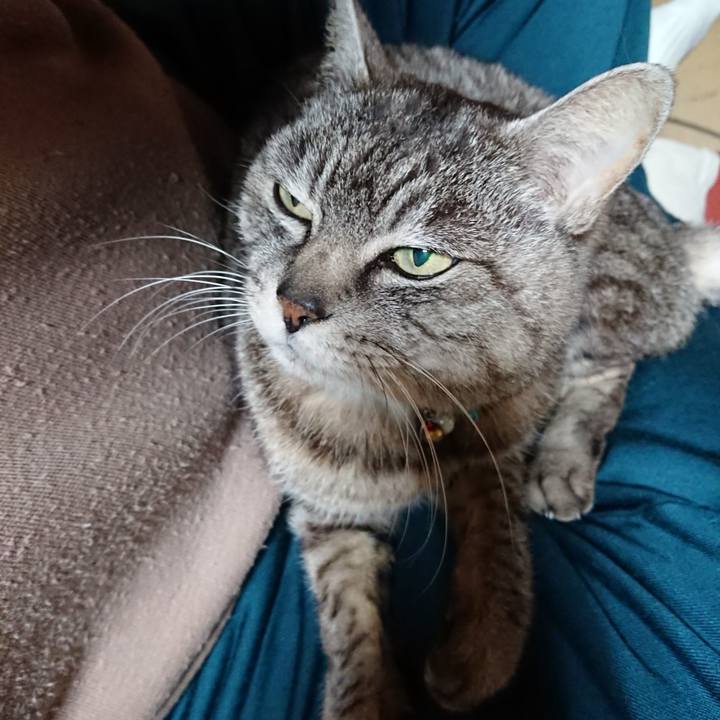 E738cbca 91d9 4ad2 856a c59f84437646 1553336123976