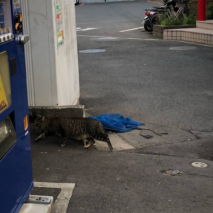 E738d0be 0544 49f6 9aad 2f09224ef9e7 1554473740974