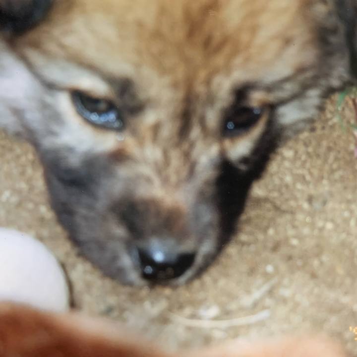 E738db27 35bb 426a b14d 0163f420c162 1632460255521