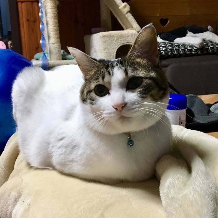 E7391798 c58e 406c 9b8a 231740218142 1512486451730