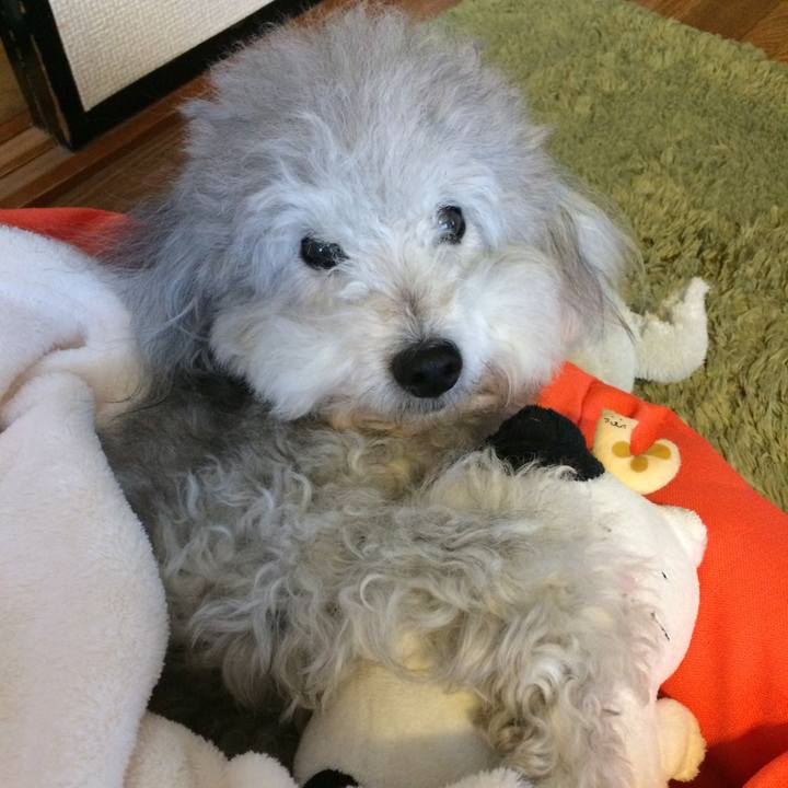 E7392b8c 76ac 4d9f 92ff 1022cac29ef0 1514329942044