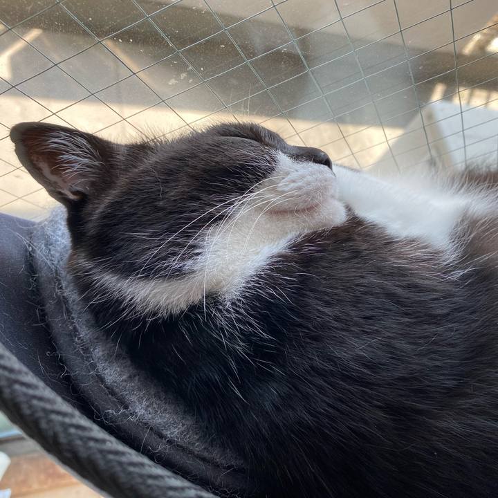 E7394451 aa31 4ada bc7d 778c2c85a719 1622530399813