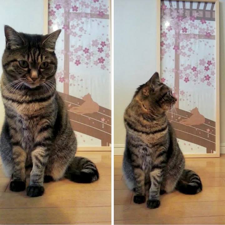 E73965b6 922d 478b 8cad 2279a9012a99 1774102496487