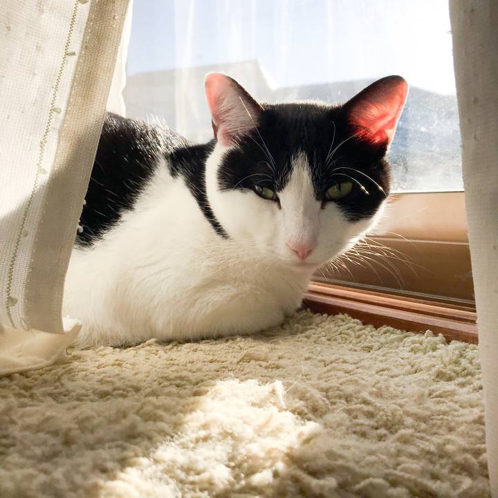 E739c3e6 d7f1 4244 a716 322c78ce03a0 1512743494681