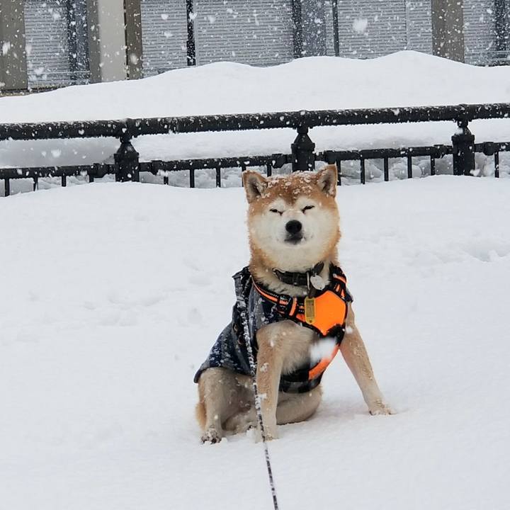 E739c52a c25f 4b48 9d25 84d6944ee1d5 1612413031400