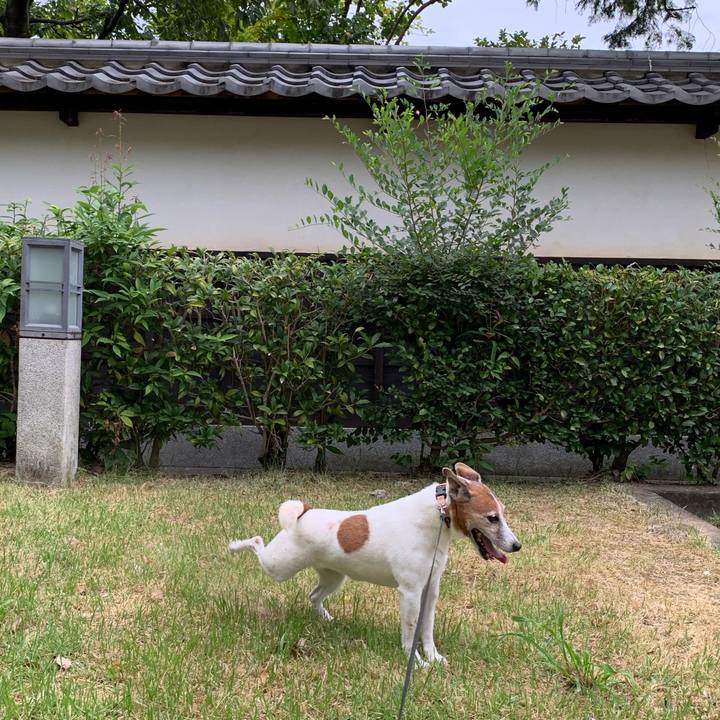 E739d48c 1b99 449c b10f 213e79a44cec 1597273324283