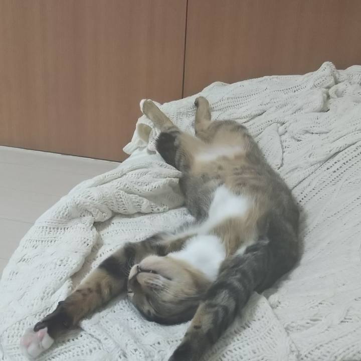 E739d9d7 b894 4555 988f 2d6b334e11c3 1613112364972