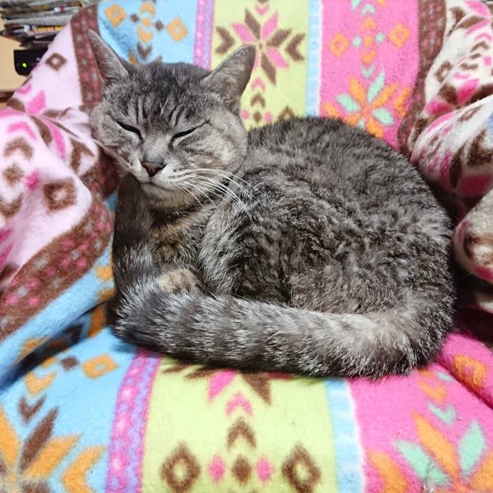 E73a066e 03f0 48d9 b95c 81f65ad5ee50 1585307357411