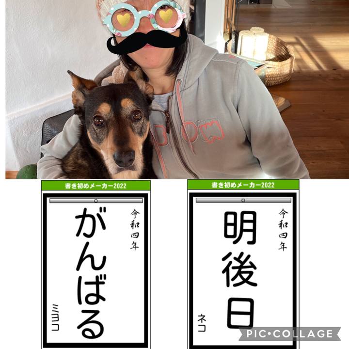 E73a2779 f7d3 4098 9bd6 e76d7a5e2d55 1641159715017