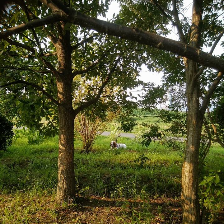 E73a37b0 0261 4081 b144 35dc0f33613b 1564744774300