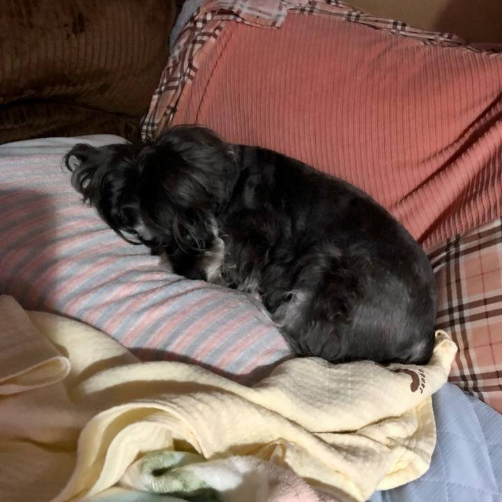 E73a6475 6351 42fb 9098 7813d3ddfef5 1696685132985