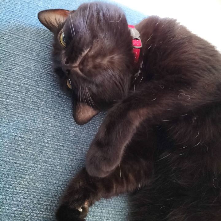 E73a7669 e1f3 498c 9c69 febcfade8947 1690669833663