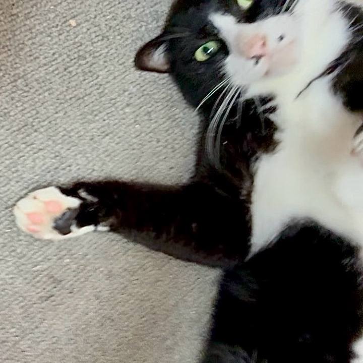 E73a7de2 bfe1 4922 91b8 8bee2c5e77bc 1758077576109