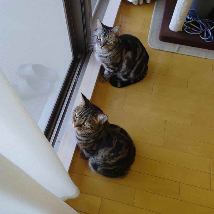 E73aaae1 97aa 4d2f 912d a210f1087a48 1633218955745