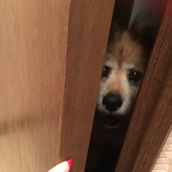 E73ab1d4 8ddd 42c4 bf3b 4c23002e1696 1563749254375