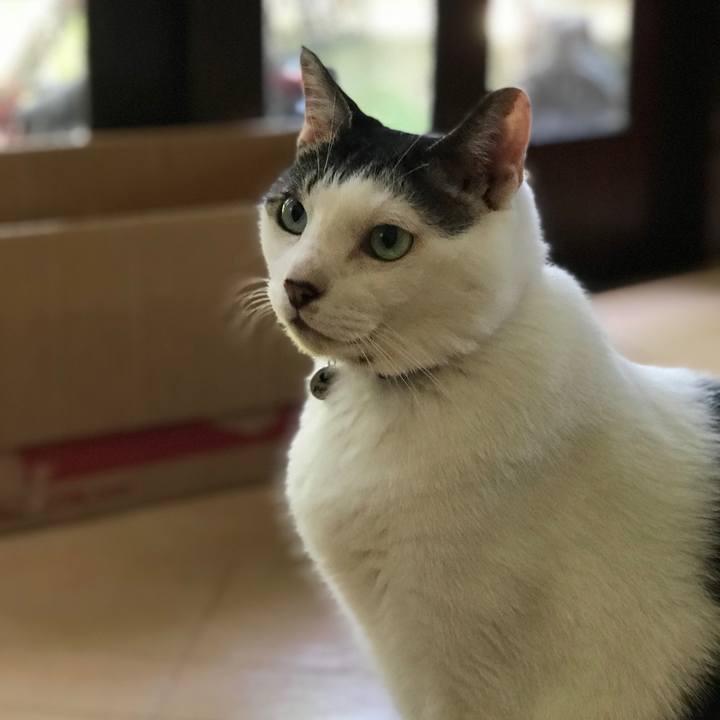 E73abe64 91de 4964 ae4d b9d3982f49cc 1528440175724