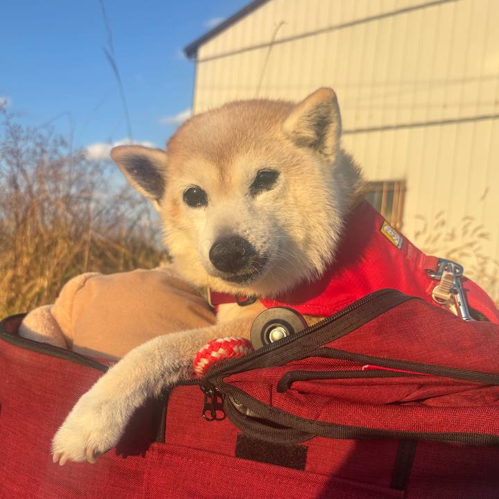 E73b38f3 77f1 4f57 b286 30c2819bb460 1767174447538