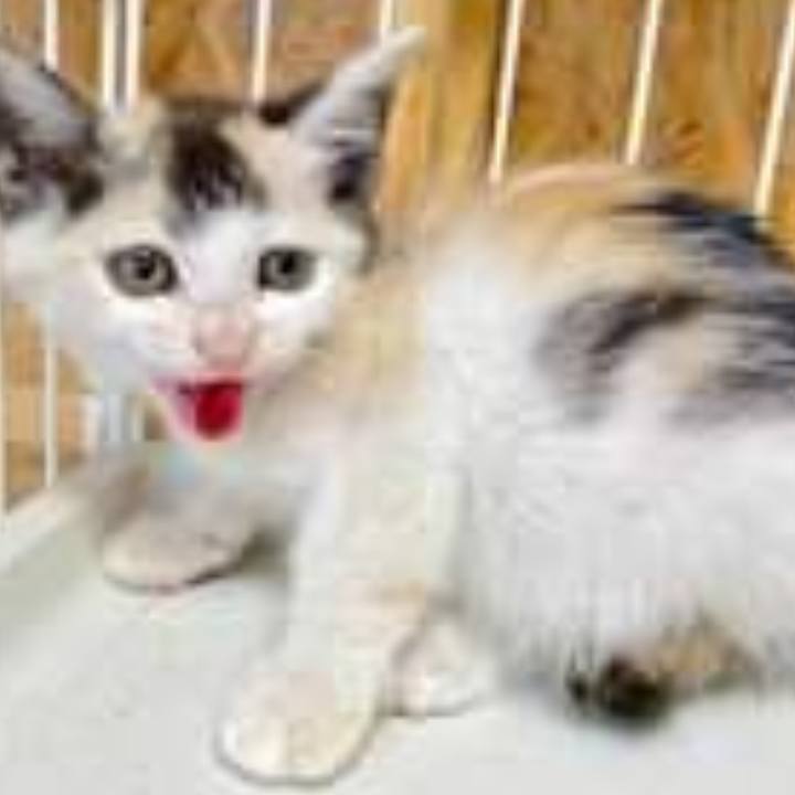 E73b3f05 ddb0 4a91 9057 a2dfd4526b67 1683782964582