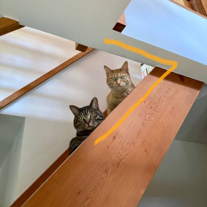 E73b4639 0897 4a41 9da3 6e983d8057d6 1686960075819