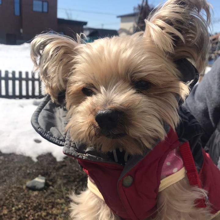 E73b830a 4e7f 4817 8929 ec98499ee87c 1584437365045