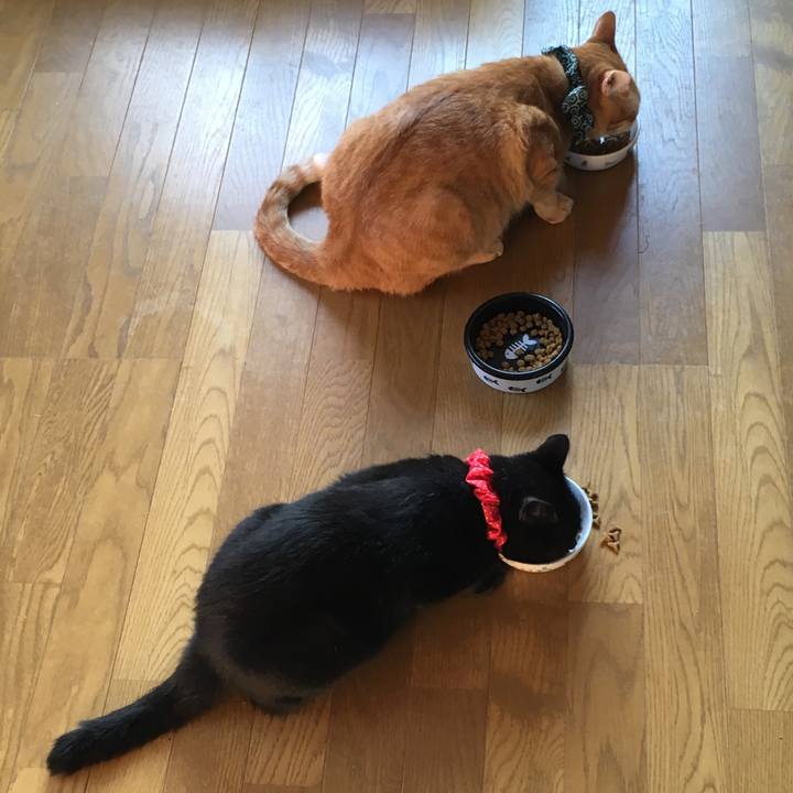 E73be9b9 667e 40f9 a90a 0069bf61e373 1537135034695