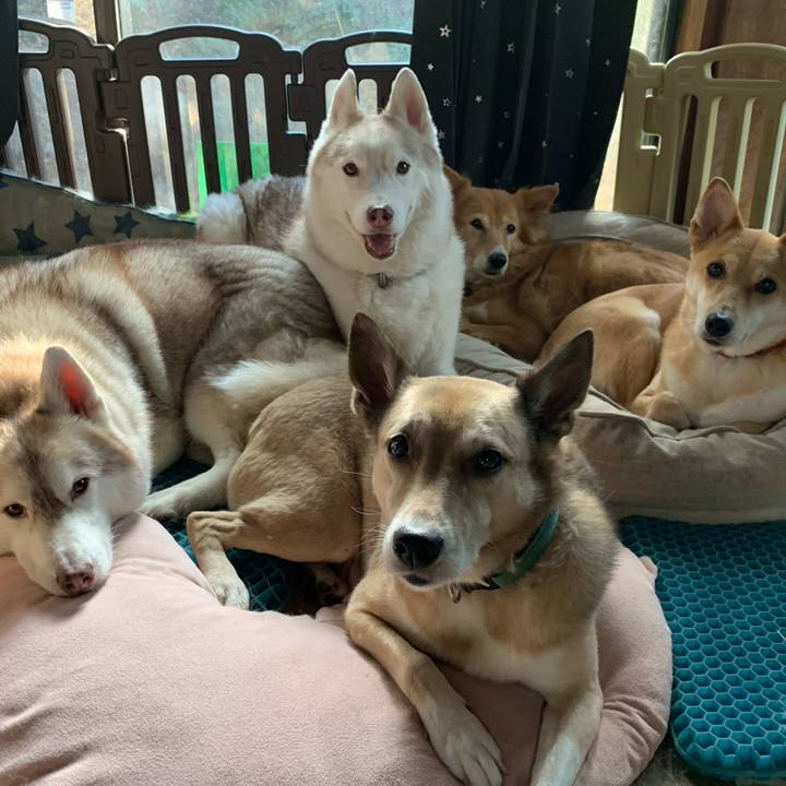 E73c36cf 3e06 4776 95d5 3fe5f4715a48 1701503412769