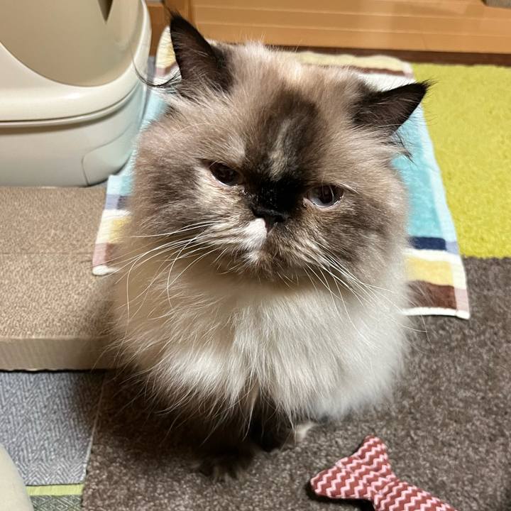 E73c6ae1 b1f4 4141 b6c8 aa4cac296025 1723800854156