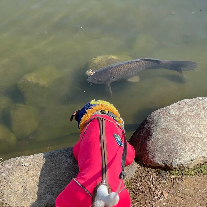 E73c8c37 f715 4a99 83d6 a1b68cda091d 1646641805801