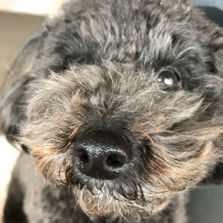 E73c9a0b 137f 4a49 b5de b9c9318e0dea 1579164307487