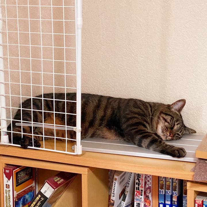 E73cb720 072a 48f9 9a42 d4740604fa11 1659324412568