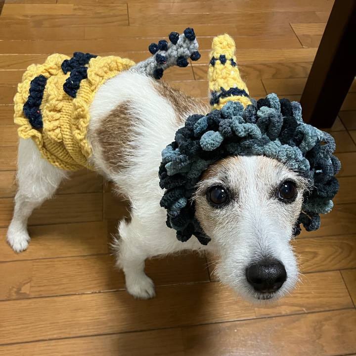 E73ce9bd a9d4 4ba0 bce8 89c02d3064dc 1675379945172