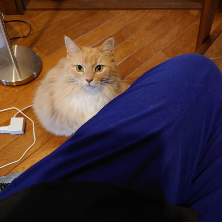 E73cfcd4 3c2a 4774 9891 d0c62b401b3a 1692159363937