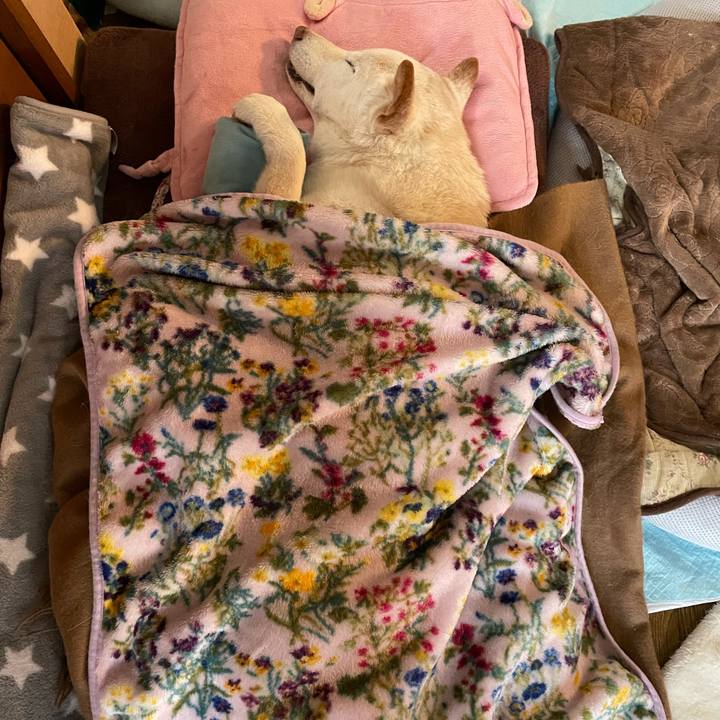 E73d054e 0339 43ea 8e25 9d5bc3570151 1641476048999