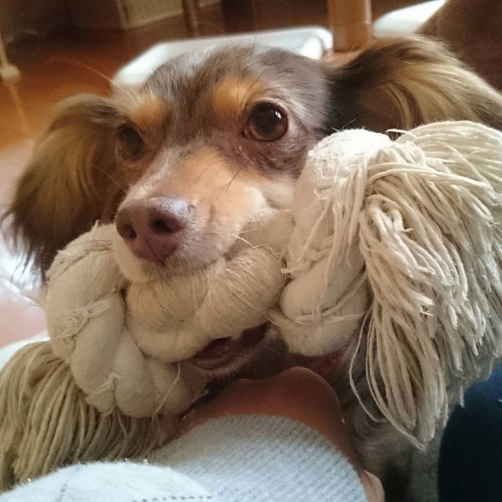 E73d062f 615d 4ab2 8196 7d1f26a30b69 1510373080473