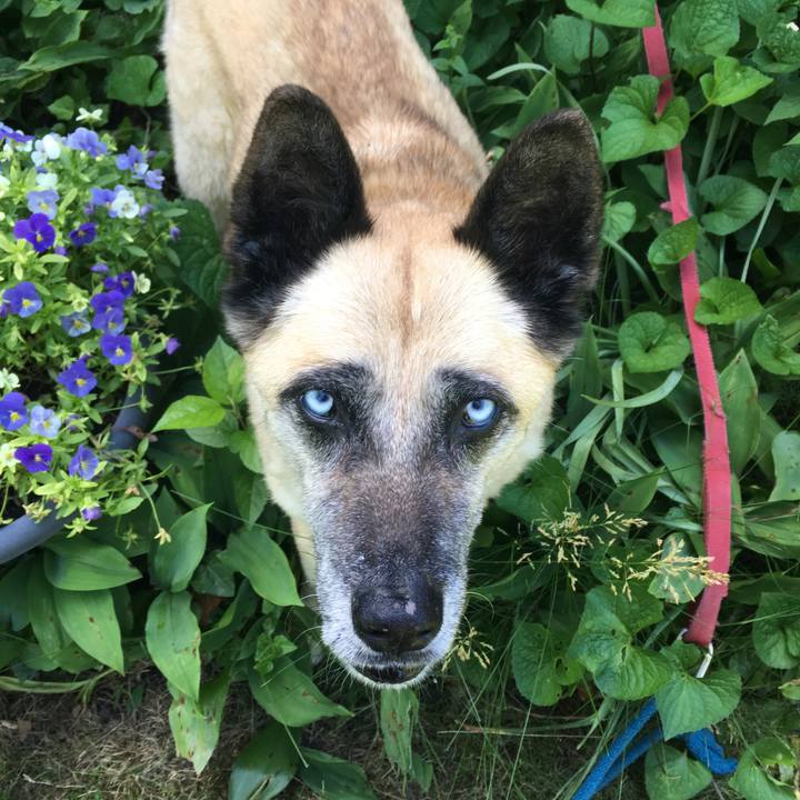 E73d0b03 d027 47a5 a1a5 c96aed069e10 1528952771425